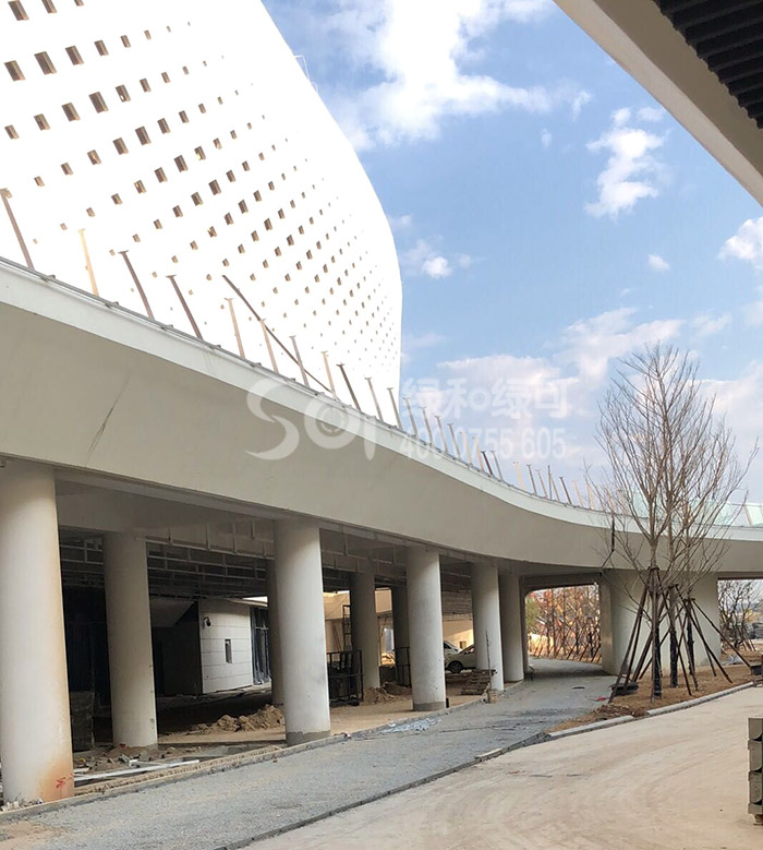 綠和木中標世界中學生運動會主場館