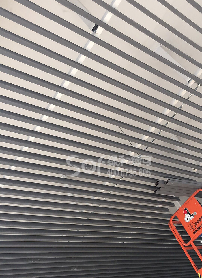 綠和木中標世界中學生運動會主場館