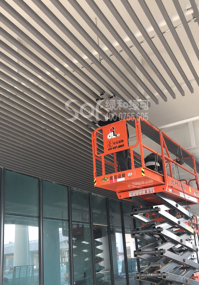 綠和木中標世界中學生運動會主場館