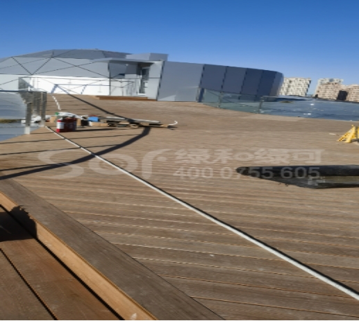 天津海河柳林公園——木合金地板案例